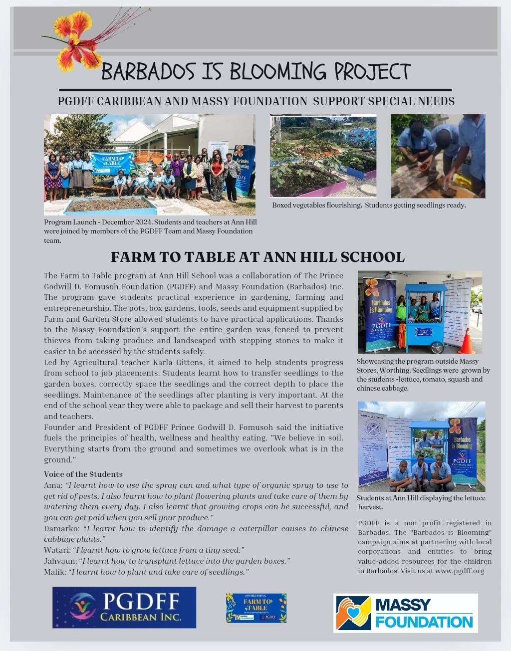 WhatsApp Image 2025-07-15 at 7.57.46 AM