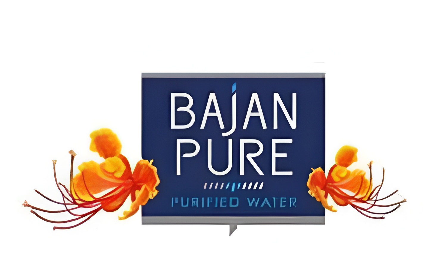 WhatsApp Image 2025-08-17 at 2,55,42 AM-Picsart-AiImageEnhancer